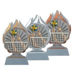 Budget prijs volleybal