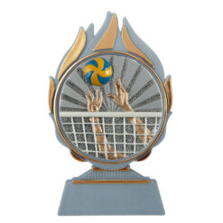 Budget prijs volleybal Q120_01-FG007