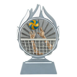 Budget prijs volleybal Q120_02-FG007