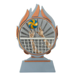 Budget prijs volleybal Q120_03-FG007