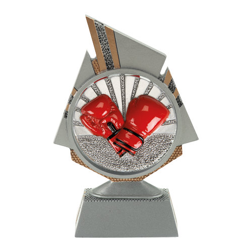 Toernooi prijs boksen FG131-FG078