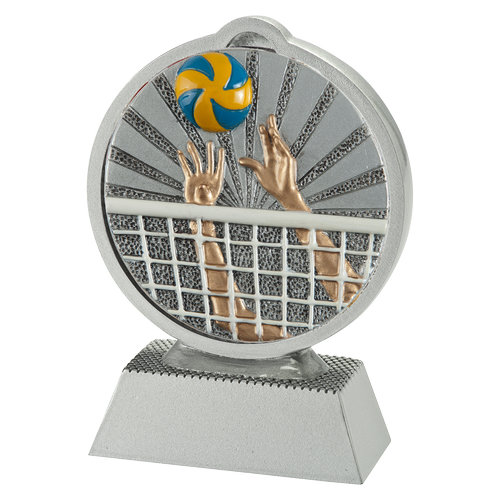 Winnaar prijs volleybal FG500-FG007