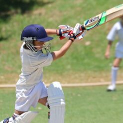 Cricket